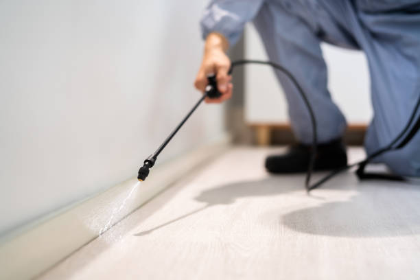 Licensed Termite Control service in Houghton, MI - Nex Pest Control