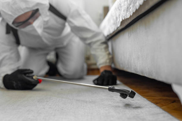 Professional Termite Control technician working in Houghton, MI