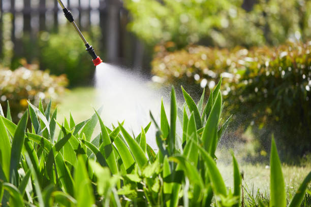 24/7 Emergency Termite Control experts in Houghton, MI