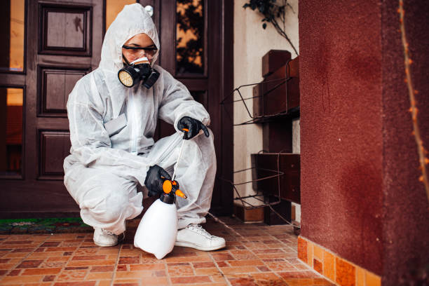 Reliable Termite Control contractor in Houghton, MI by Nex Pest Control