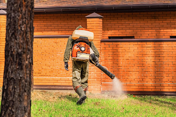 Top rated local Termite Control specialists in Houghton, MI